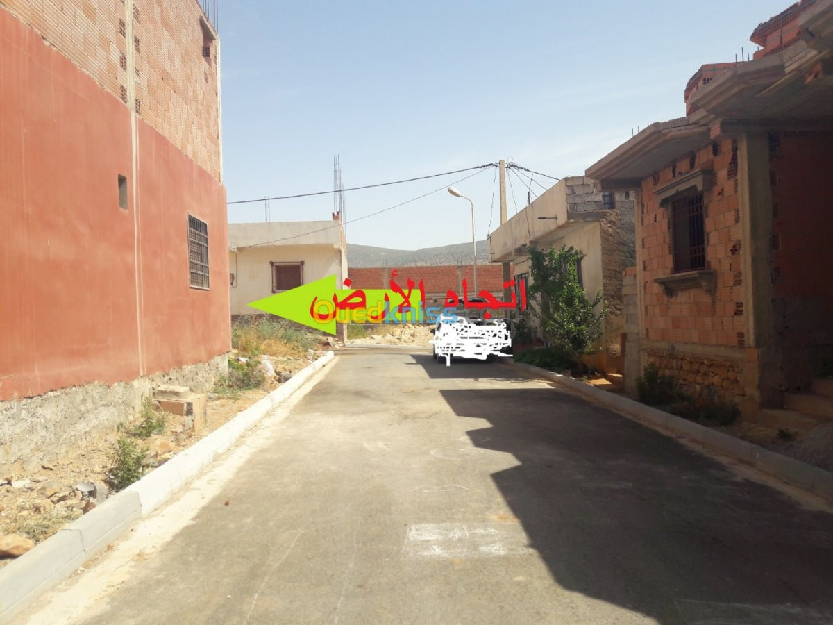 Vente Terrain Tlemcen Beni bahdel