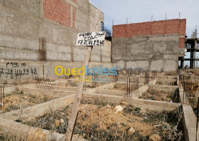 Vente Terrain Batna Fesdis