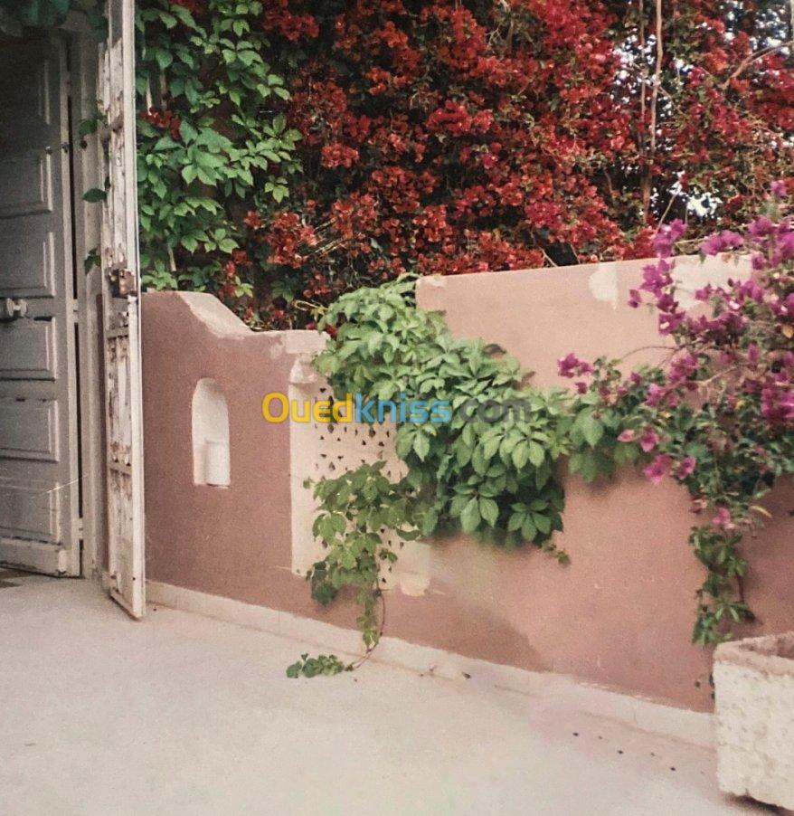 Vente Villa Ghardaia Ghardaia