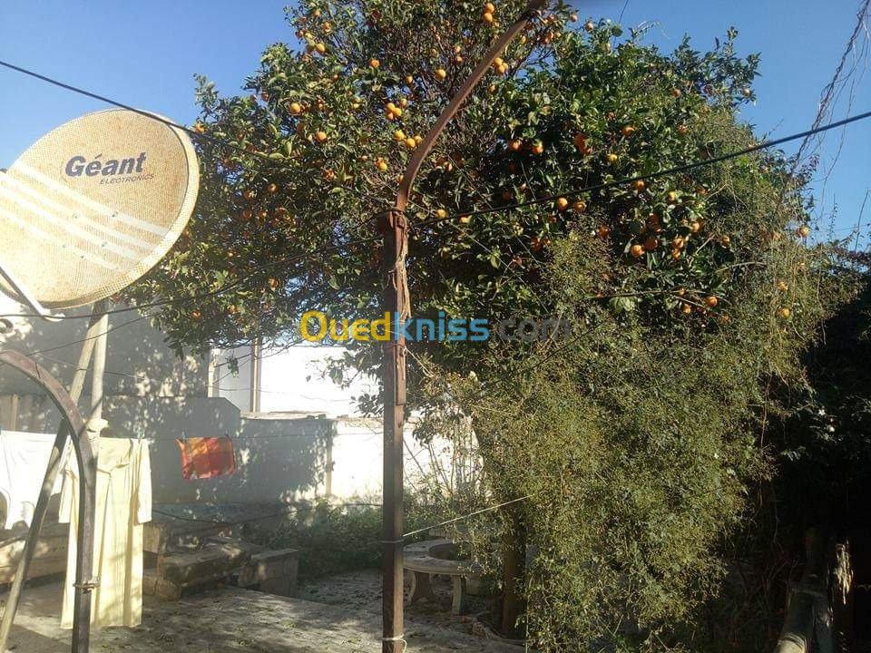 Vente Villa Alger Bologhine