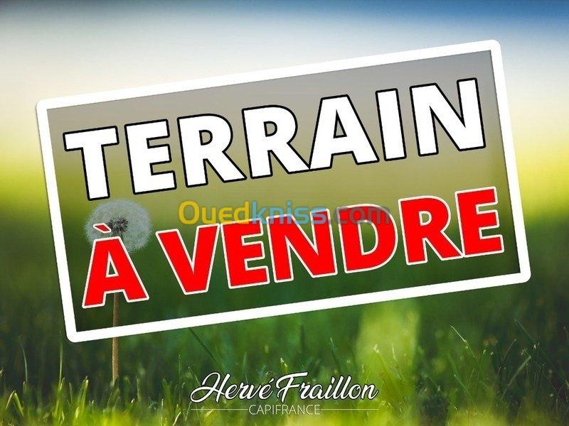 Vente Terrain Tipaza Cherchell