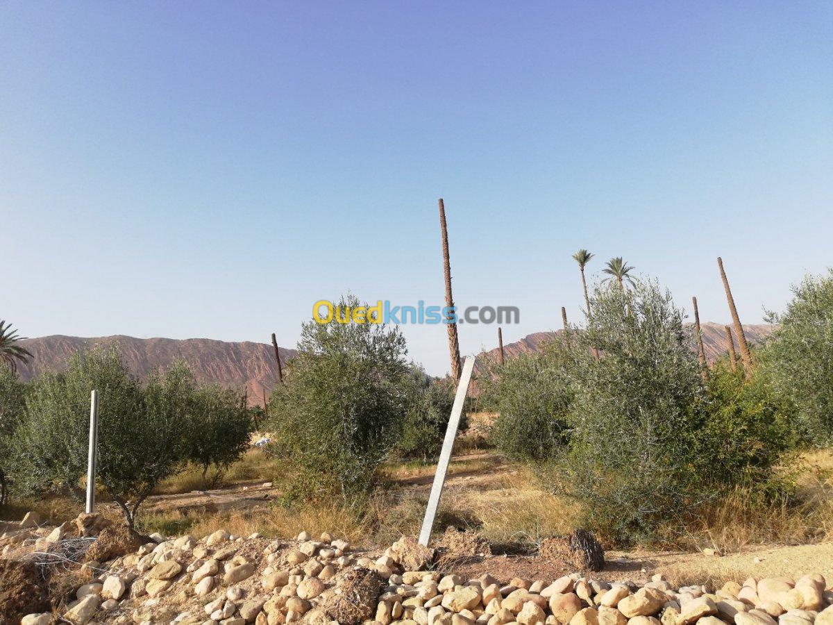 Vente Terrain Biskra El kantara