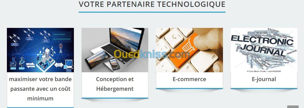 WEB  E-commerce