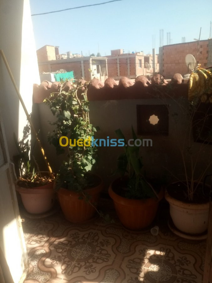 Vente Villa Ain defla Djendel