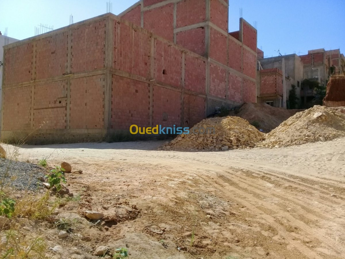 Vente Terrain Relizane Mazouna