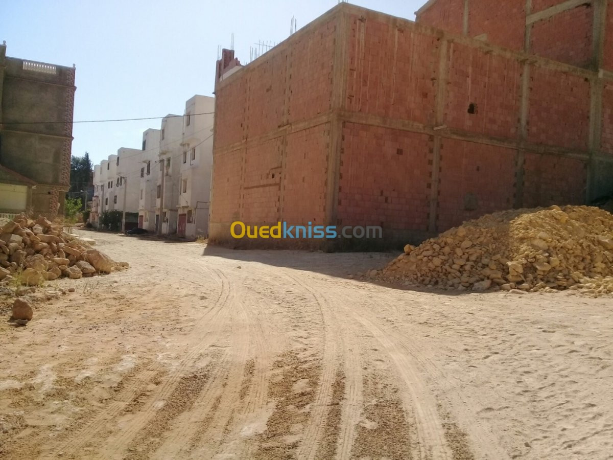 Vente Terrain Relizane Mazouna