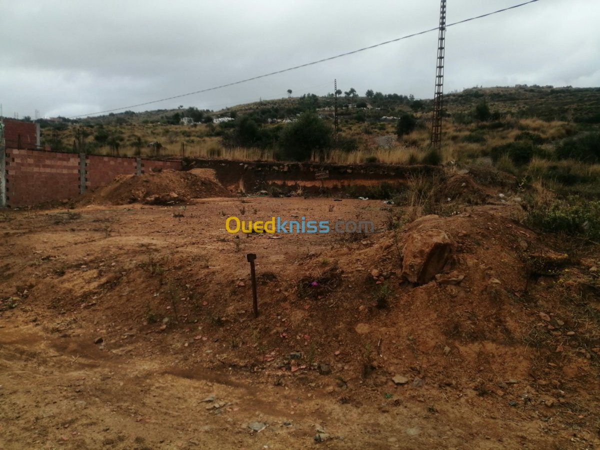 Vente Terrain Blida Ouled selama