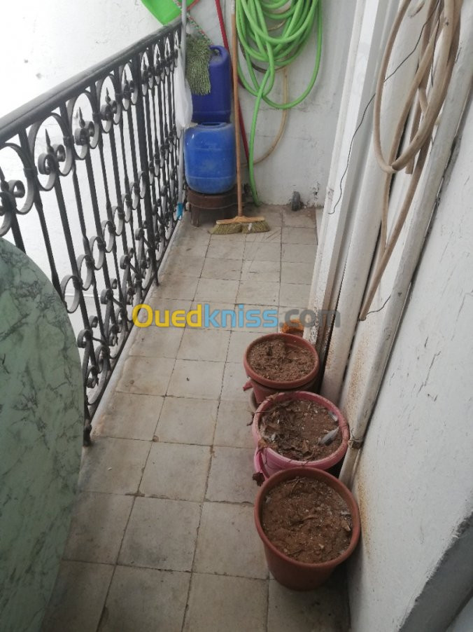 Vente Appartement F6 Alger Alger centre