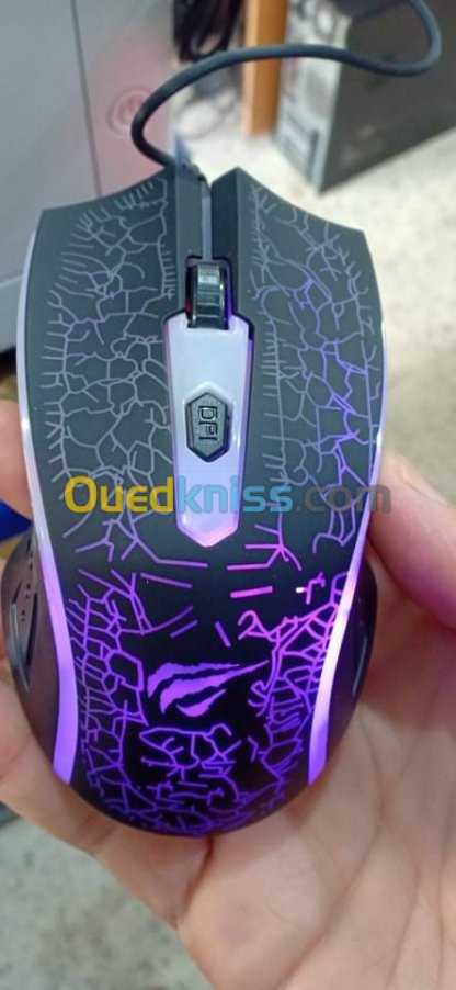 Souris Gaming LED