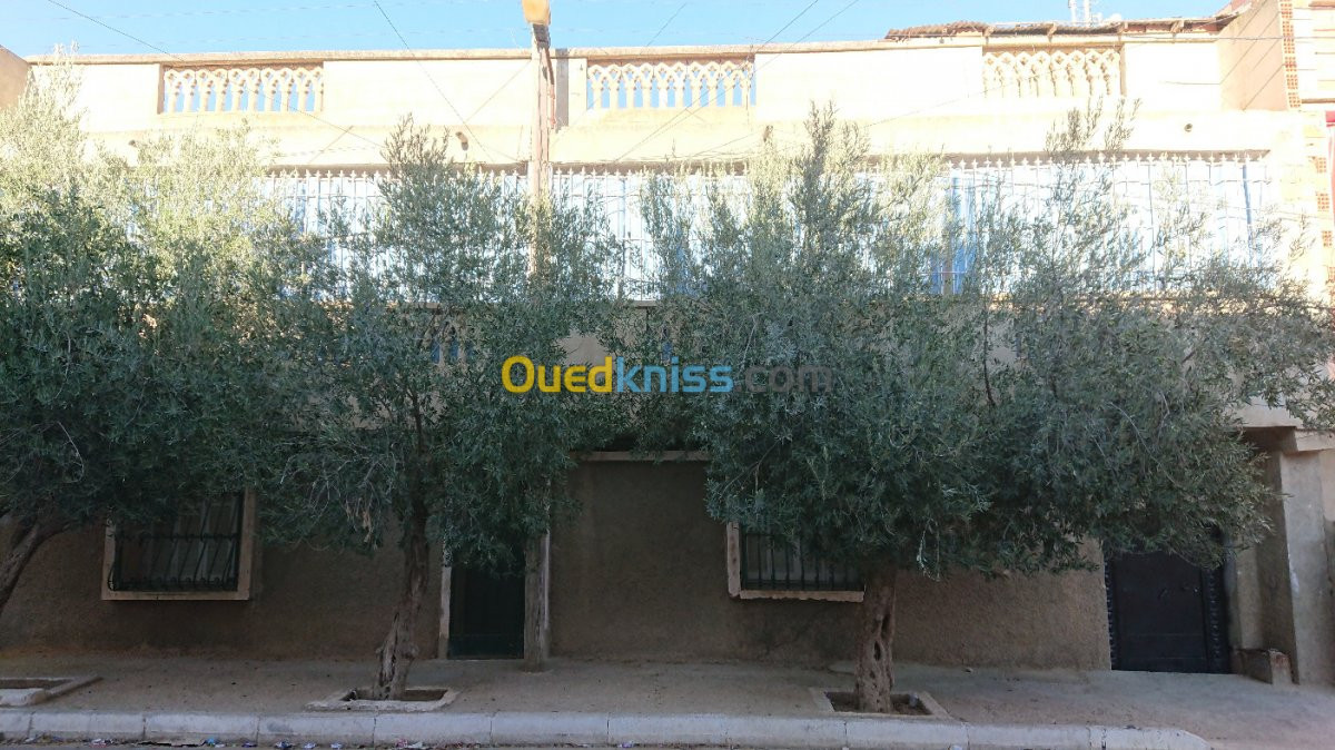 Vente Villa Relizane Sidi mhamed ben ali