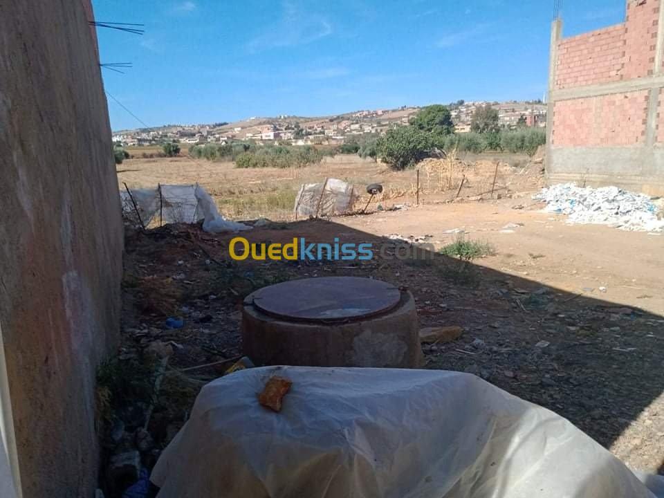 Vente Terrain Relizane Mazouna