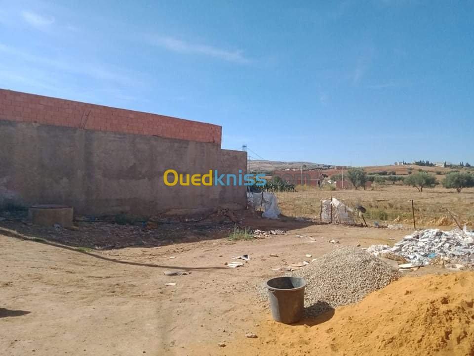 Vente Terrain Relizane Mazouna