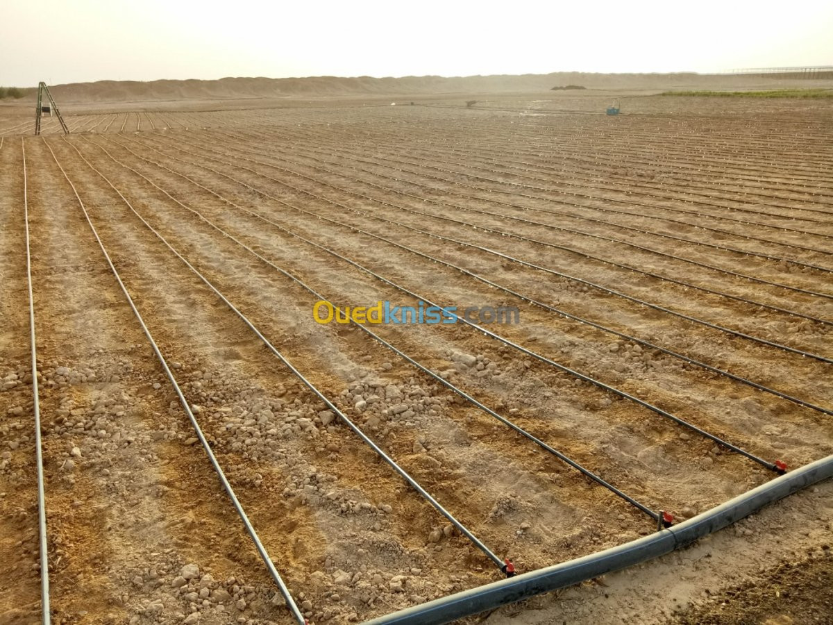 Vente Terrain Agricole Biskra Oumache