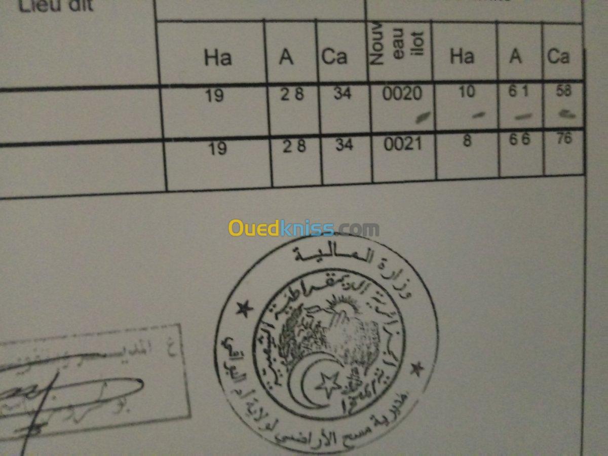 Vente Terrain Agricole Oum el bouaghi Oum el bouaghi