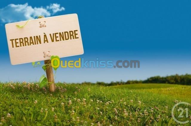 Vente Terrain Tizi ouzou Azazga