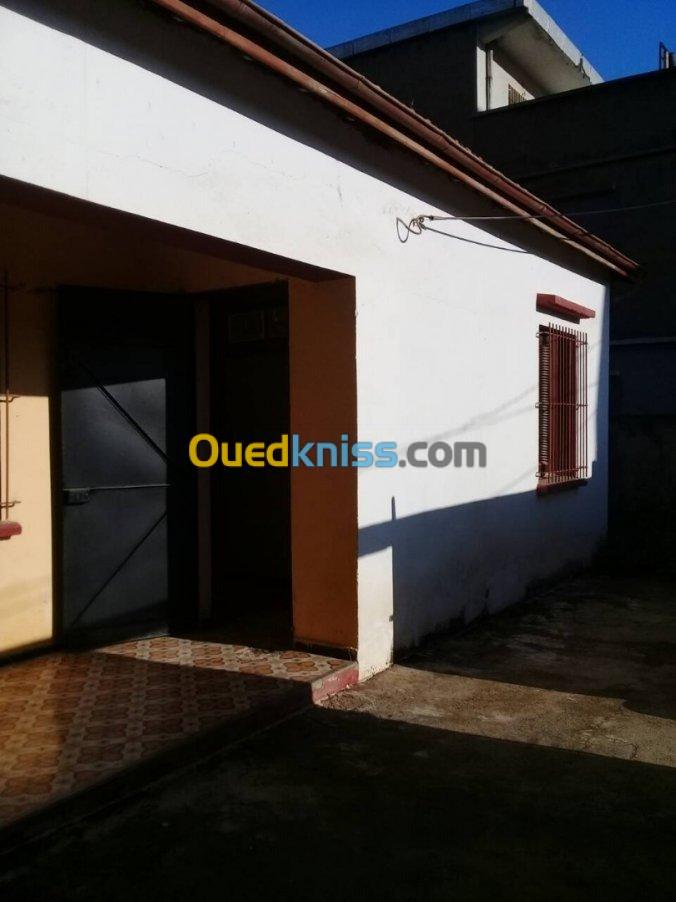 Vente Villa Blida El affroun