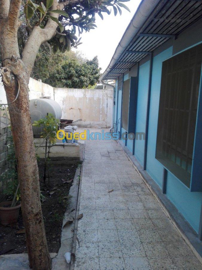 Location Appartement Alger Bab ezzouar