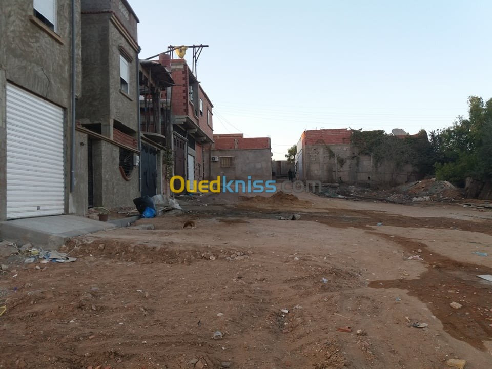 Vente Terrain Mostaganem Mostaganem