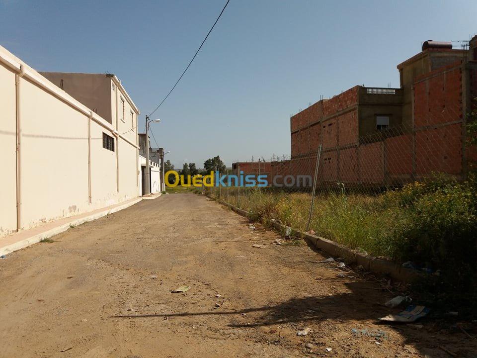 Vente Terrain Mostaganem Mostaganem