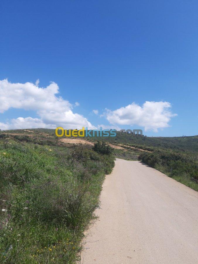 Vente Terrain Blida Bouinan