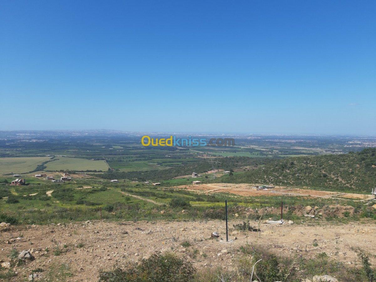 Vente Terrain Blida Bouinan