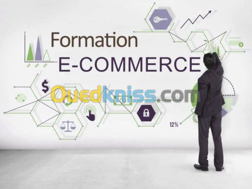 Formation Dropshipping mini prix 2021 