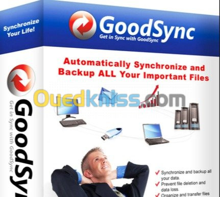 GoodSync Enterprise 10