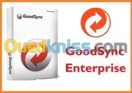 GoodSync Enterprise 10