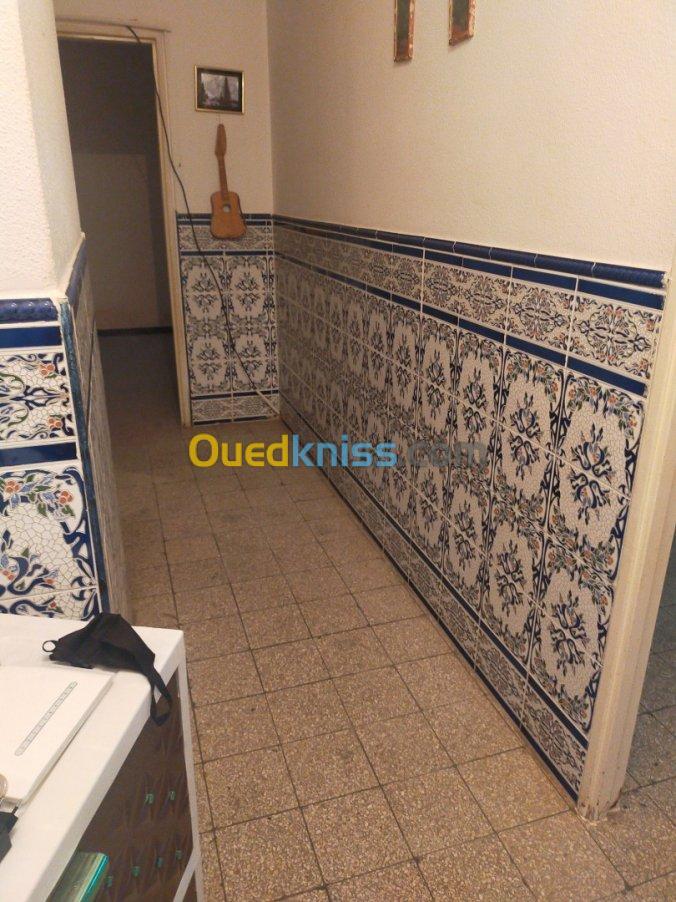 Vente Appartement F3 Djelfa Ain oussara