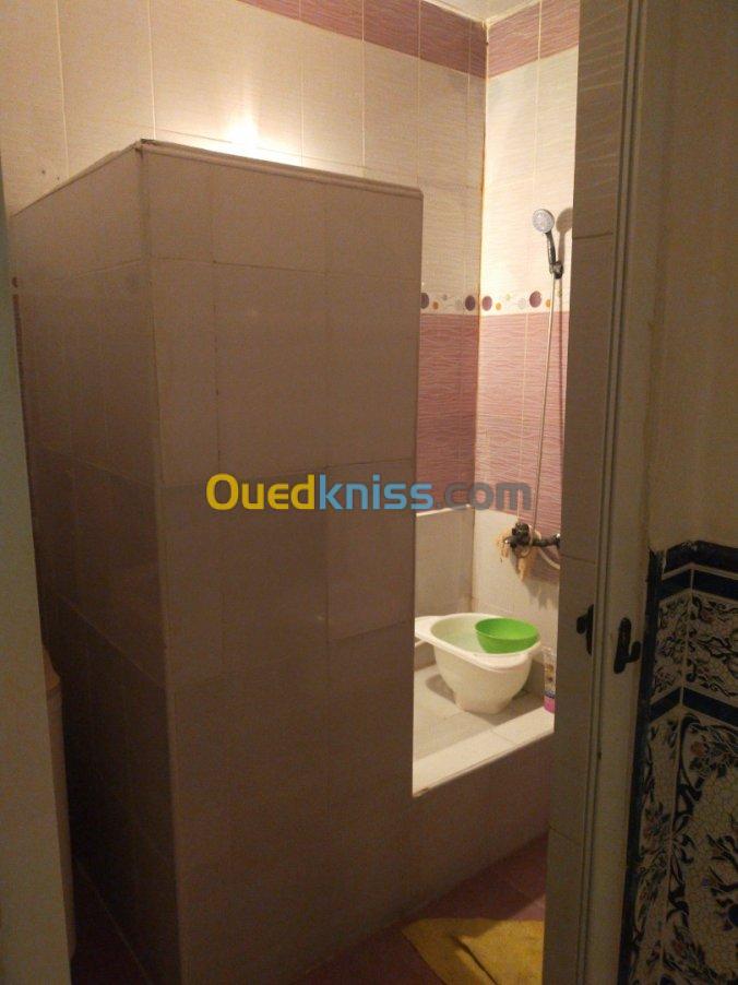 Vente Appartement F3 Djelfa Ain oussara