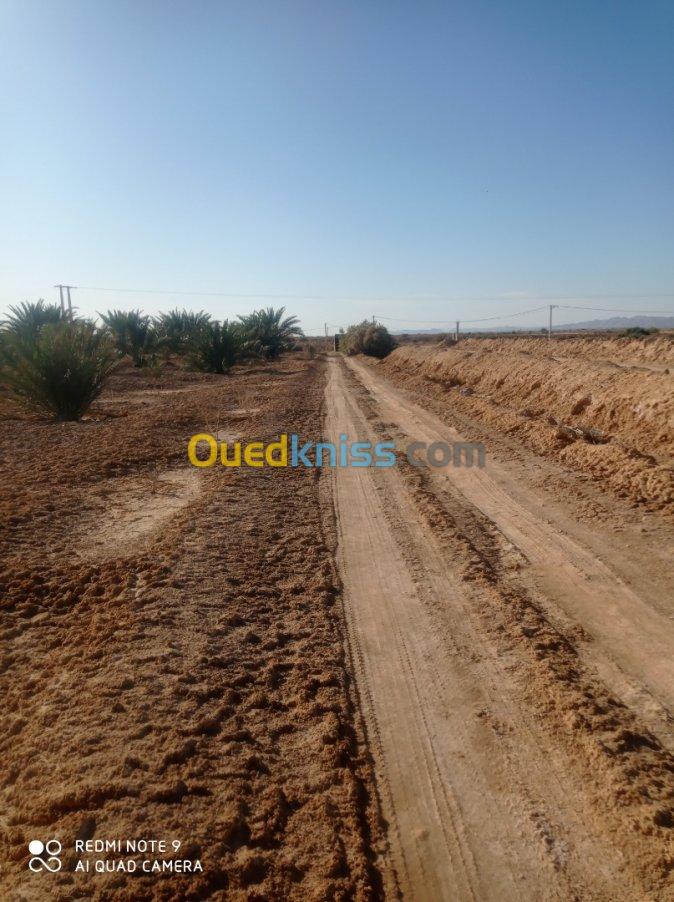 Vente Terrain Agricole Biskra Oumache