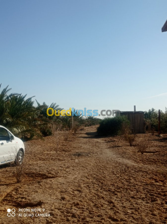 Vente Terrain Agricole Biskra Oumache