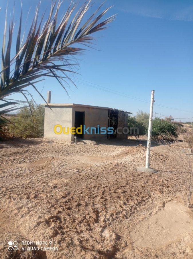 Vente Terrain Agricole Biskra Oumache