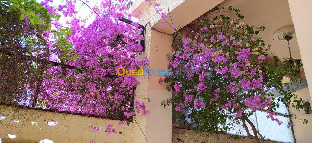 Vente Villa Oum el bouaghi Ain mlila