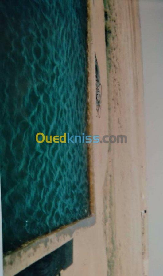 Vente Terrain Biskra Sidi okba