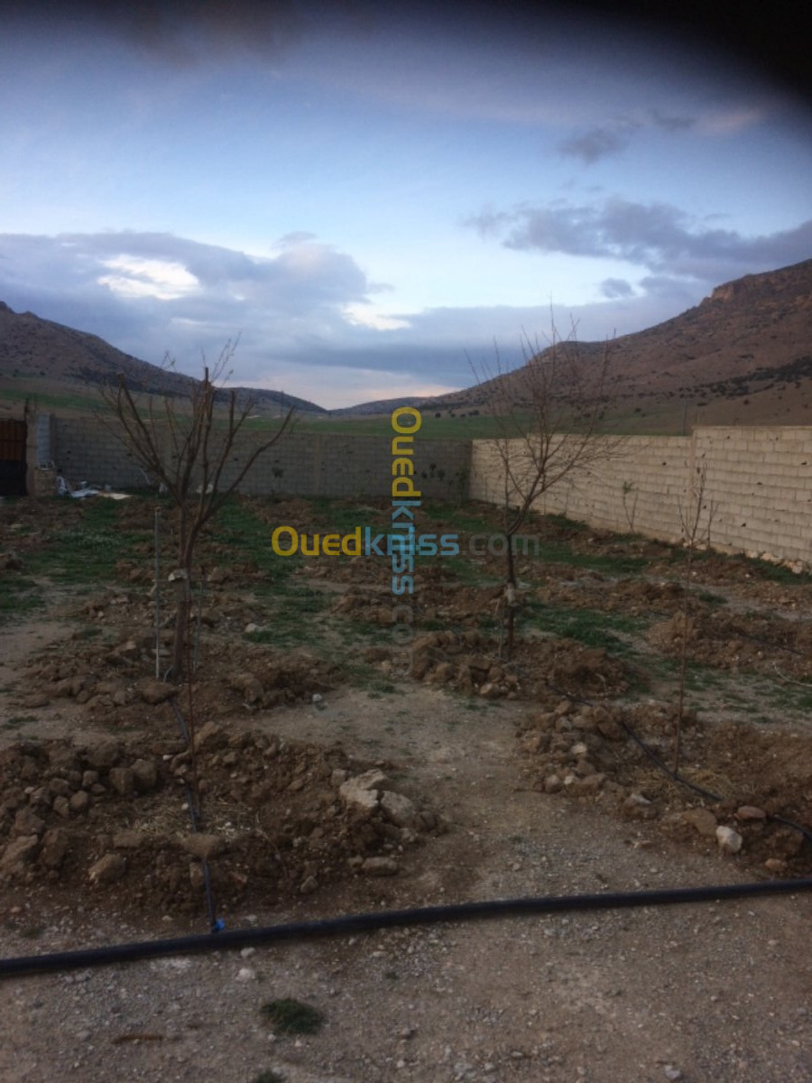 Vente Terrain Agricole Batna Oued el ma