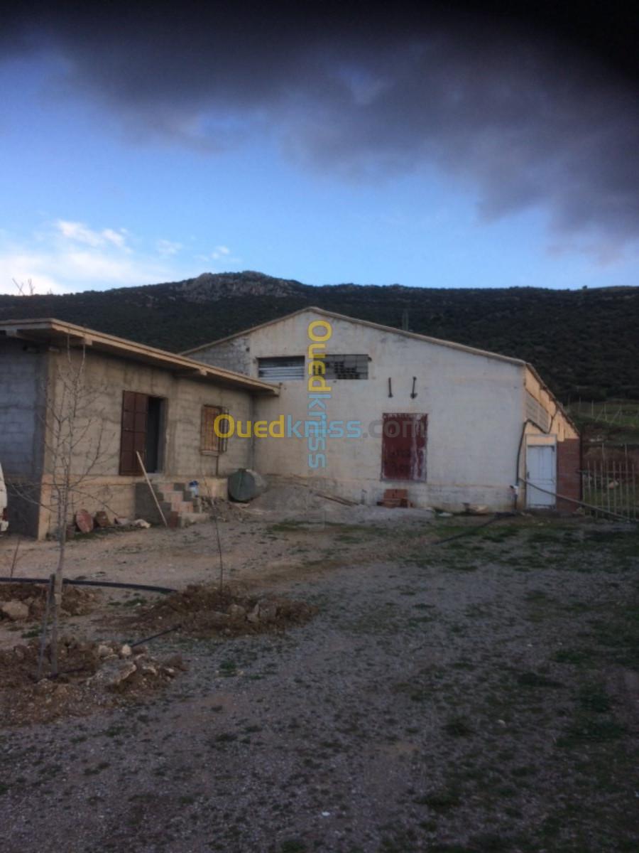 Vente Terrain Agricole Batna Oued el ma