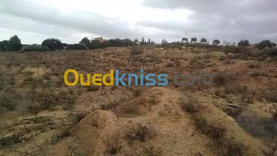 Vente Terrain Mostaganem Sidi lakhdaara