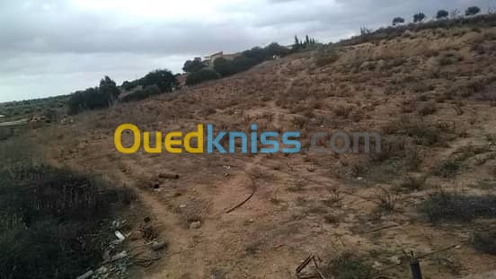 Vente Terrain Mostaganem Sidi lakhdaara