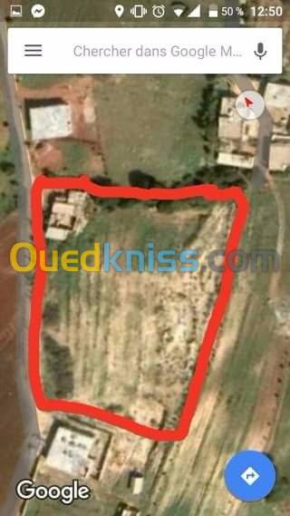 Vente Terrain Mostaganem Sidi lakhdaara