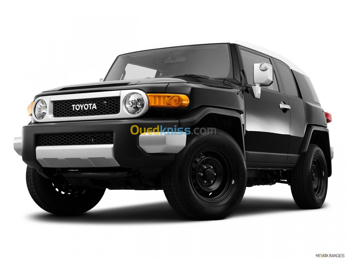 Toyota Land Cruiser 2010 