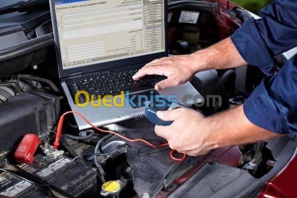 Scanner & diagnostic auto