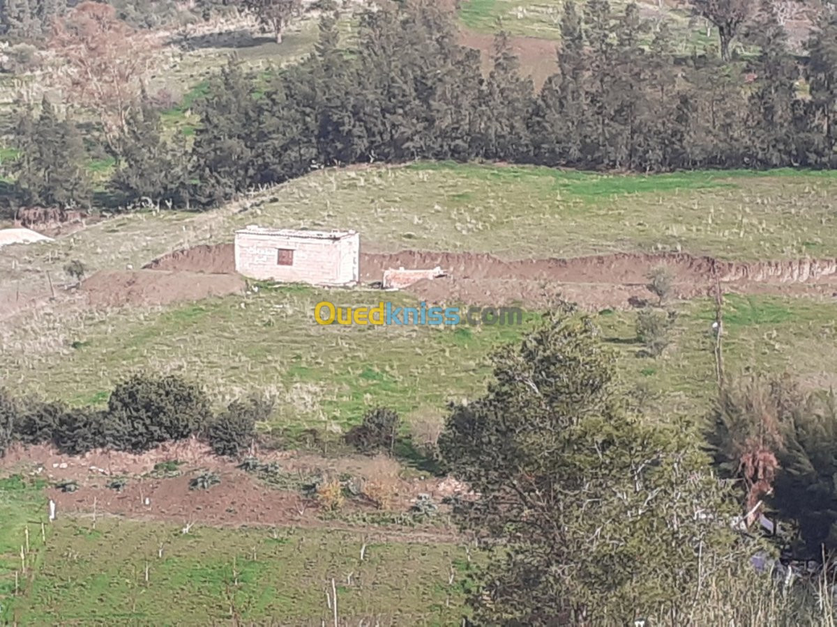 Vente Terrain Blida Hammam melouane