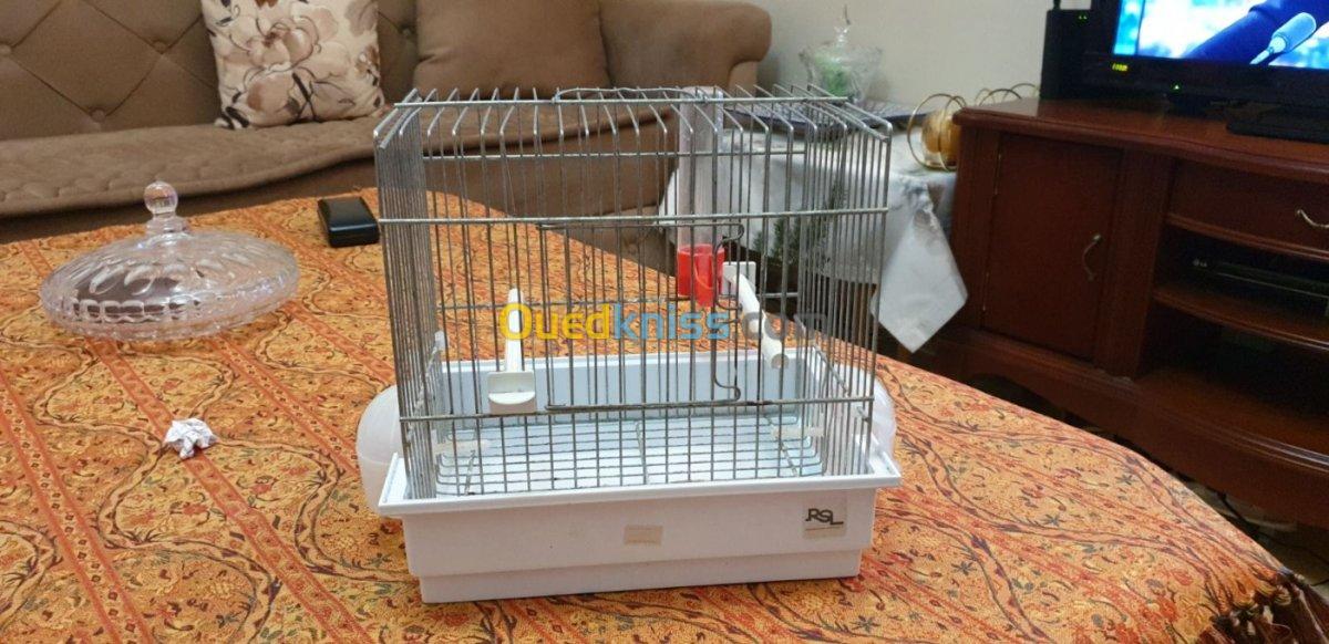 Vend cage pour chardonier 