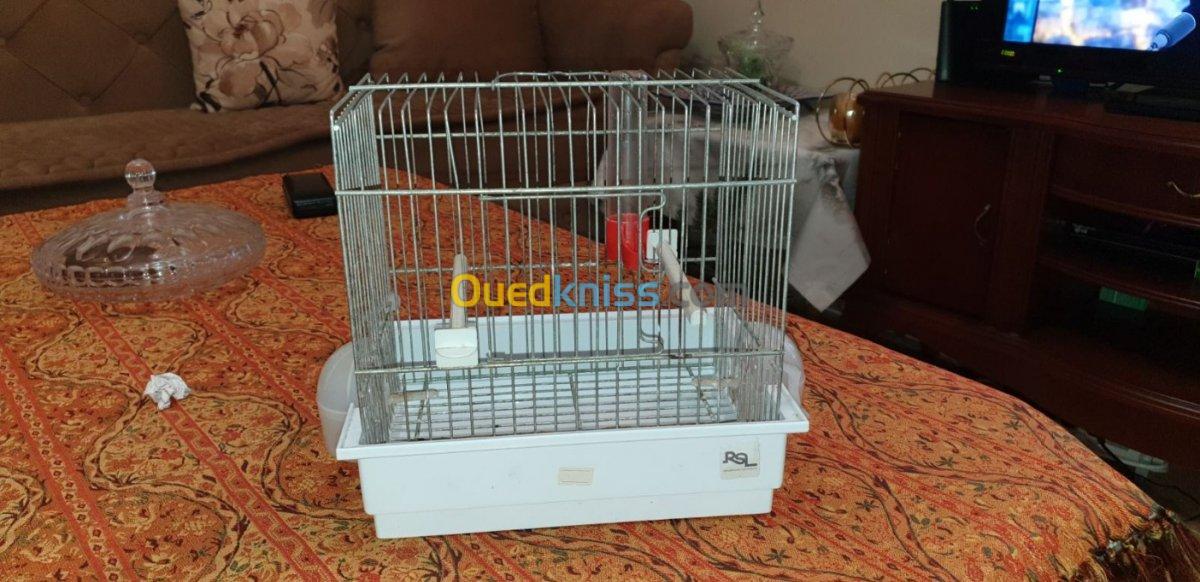 Vend cage pour chardonier 