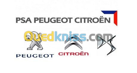 Kilometrage Peugeot Citroen DS