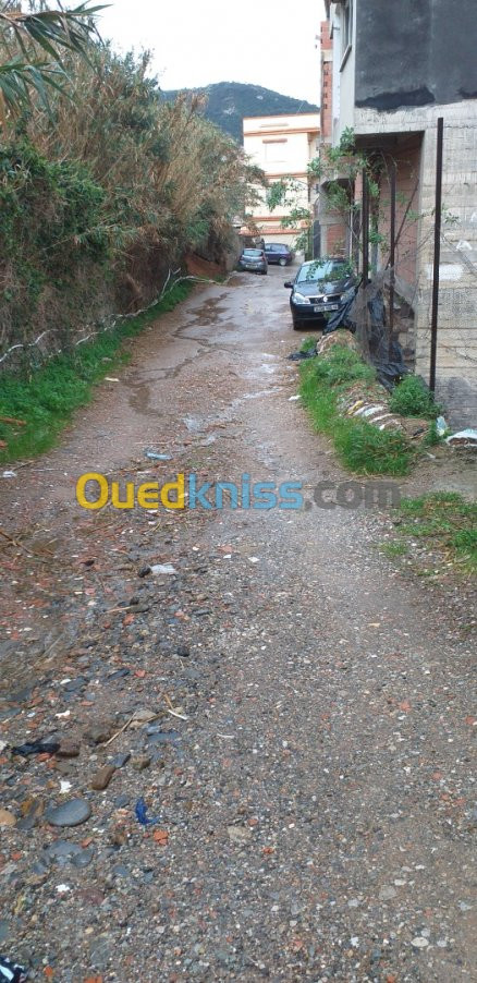 Vente Villa Alger Rais hamidou