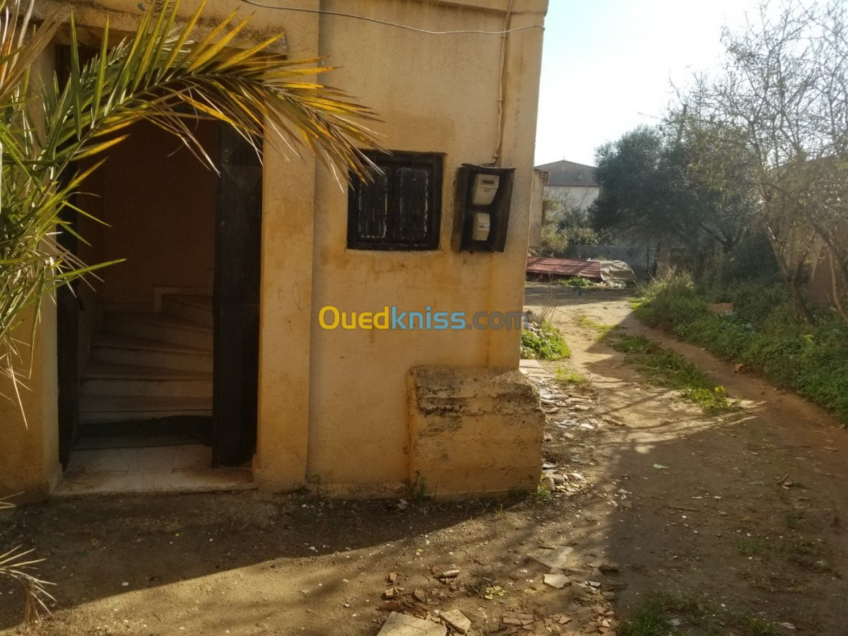 Location Niveau De Villa F3 Alger Draria