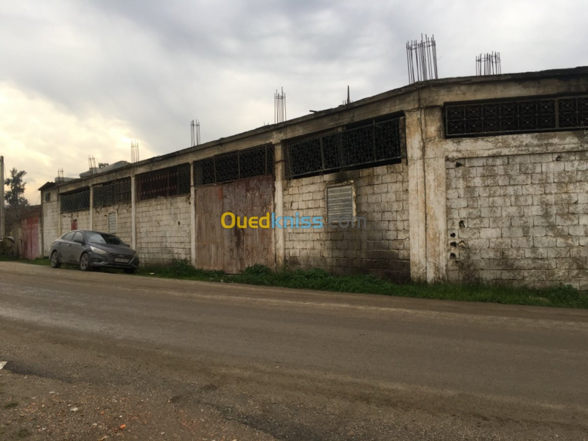 Location Hangar Tizi ouzou Tizi ouzou