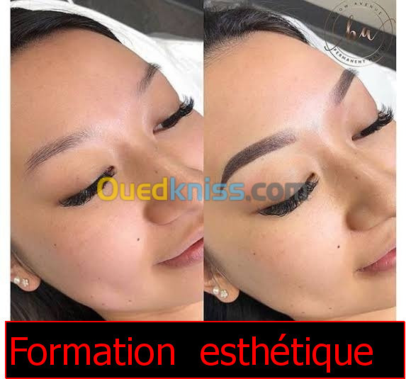 Formation  microblading 